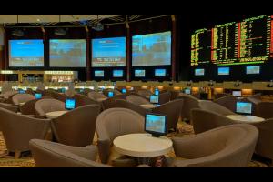 Global-Gaming-Sport-Book-1 Global-Gaming-Sport-Book-1