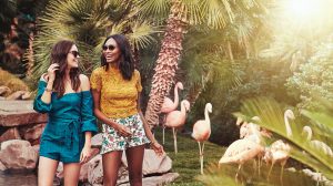 Flamingo hotel development opportunity