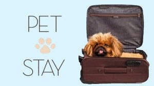 Petstay clearance