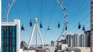 FlyingLINQ Zipline