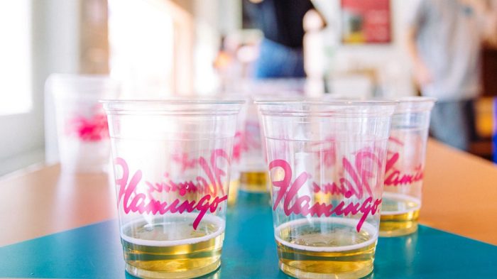 Person playing beer pong at Bird Bar.