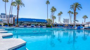 Blu Pool at Horseshoe Las Vegas with Palm Trees