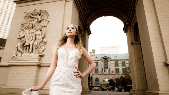 Bride Under Arc de Triomphe