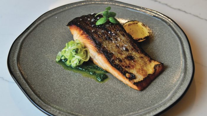 tac ilverdi salmon