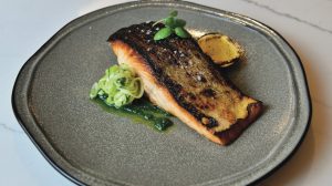 tac ilverdi salmon