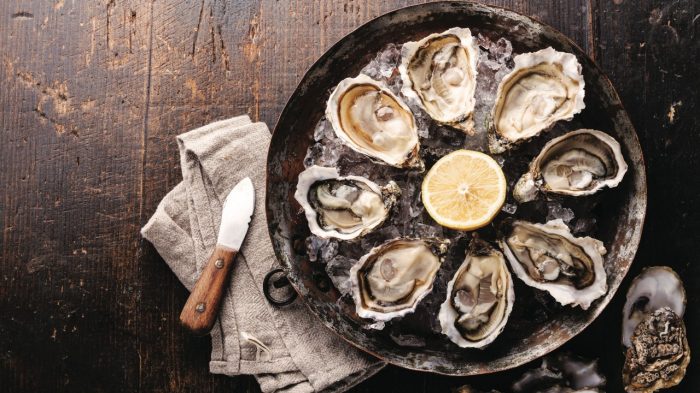 gbi magnolia house fresh gulf oysters