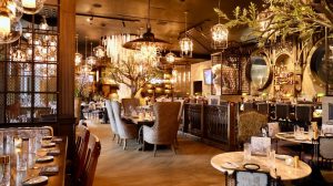 Wolf by Vanderpump Interior