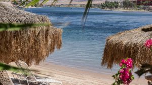 View of beach with straw huts and lounge chairs through palm trees