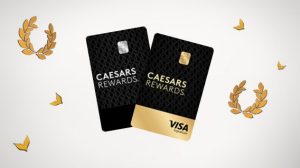 ent cr footer visa