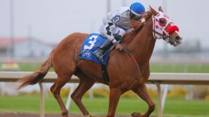 horse racing on the track