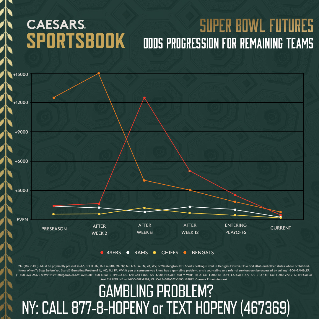 NFL Futures Report Odds Progression During Season, Notable Wagers