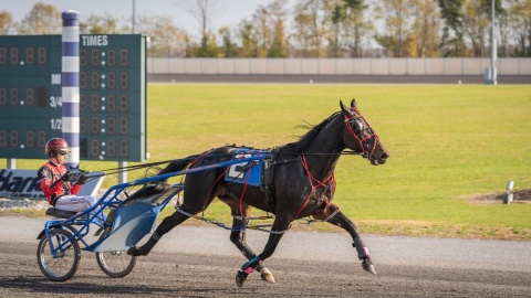 Head to Head Wagering: Where Odds Meet Rivalry