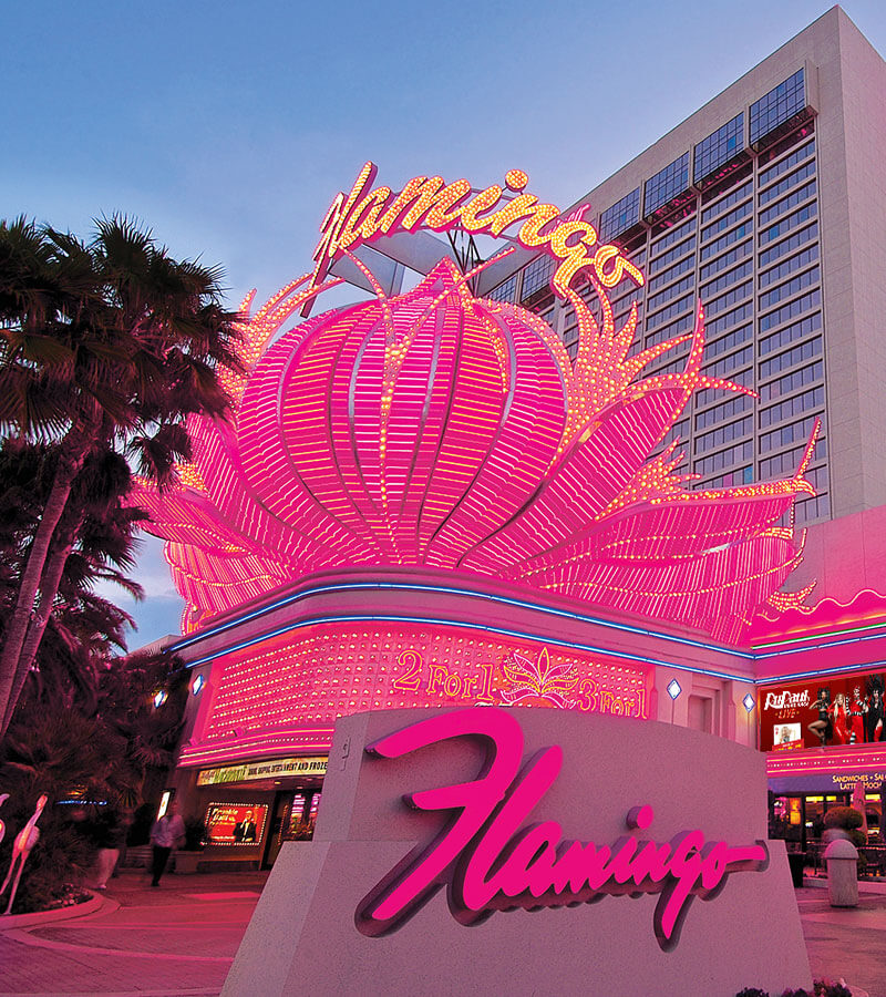 flamingo pool las vegas