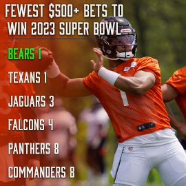 Bears Super Bowl bets