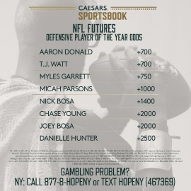 NFL Defensive Player of Year odds
