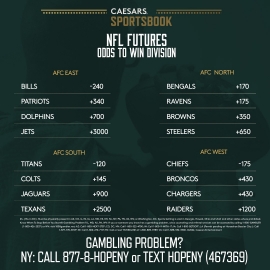 AFC division odds