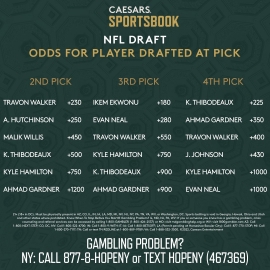 NFL Draft odds