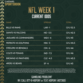 NFL Odds, Lines and Spreads