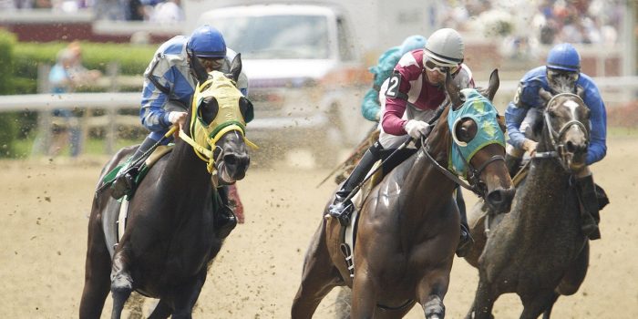 harrah's horse racing