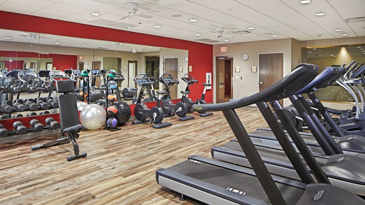 Tunica Spa Horseshoe Tunica