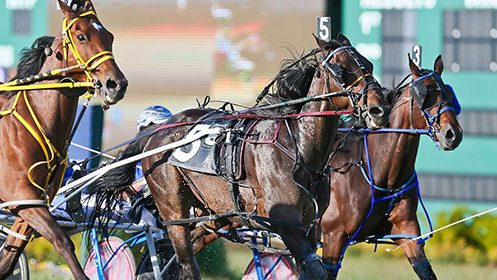 harrah's horse racing