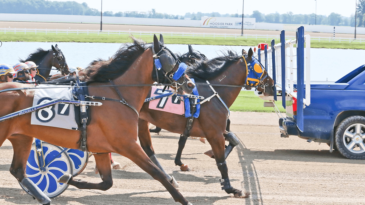 harrah's horse racing
