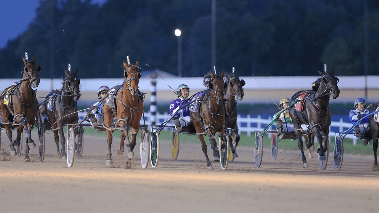 Horse Racing Harrah's Hoosier Park Racing & Casino