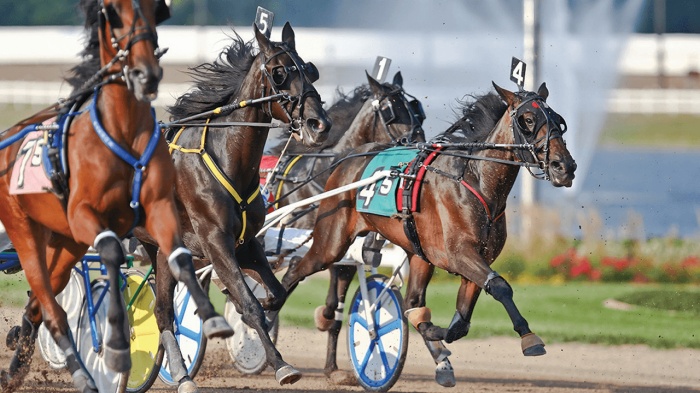 harrah's horse racing