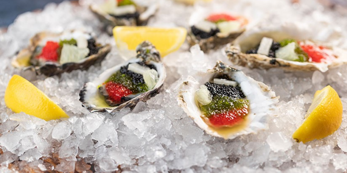 harrah s casino oyster bar